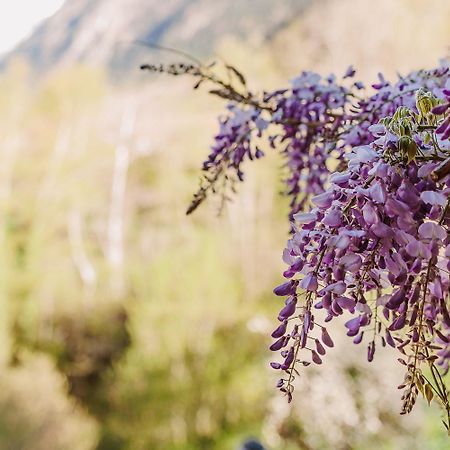 Chambre Ou Gite Dans Une Maison De Montagne - De Suzon A Zelie Entraigues  Zewnętrze zdjęcie