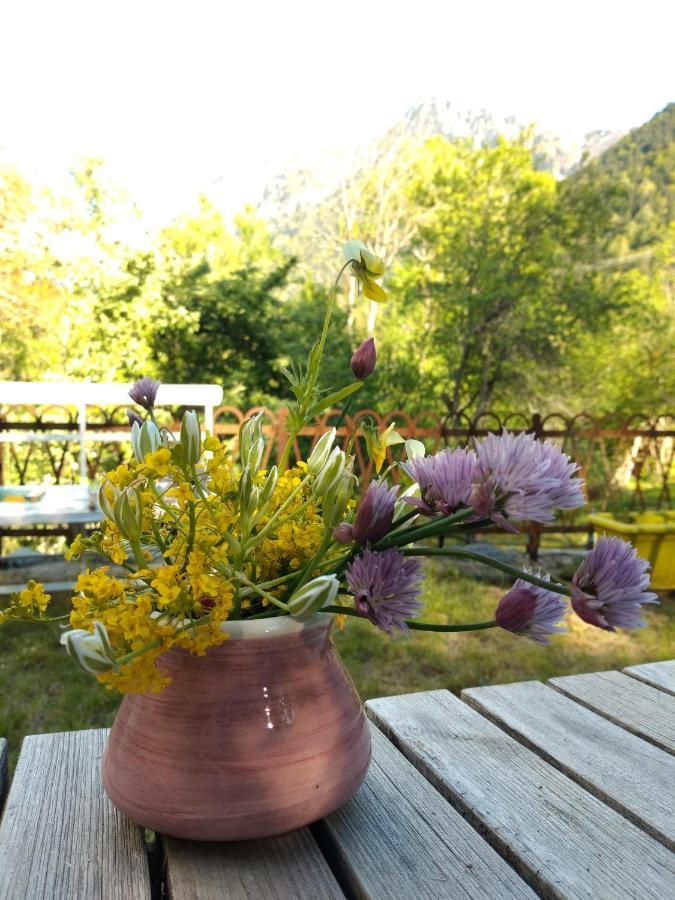 Chambre Ou Gite Dans Une Maison De Montagne - De Suzon A Zelie Entraigues  Zewnętrze zdjęcie