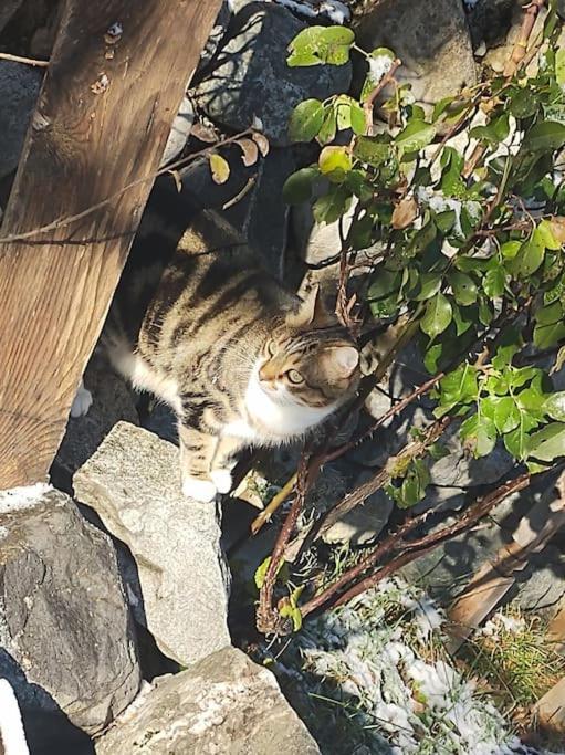 Chambre Ou Gite Dans Une Maison De Montagne - De Suzon A Zelie Entraigues  Zewnętrze zdjęcie
