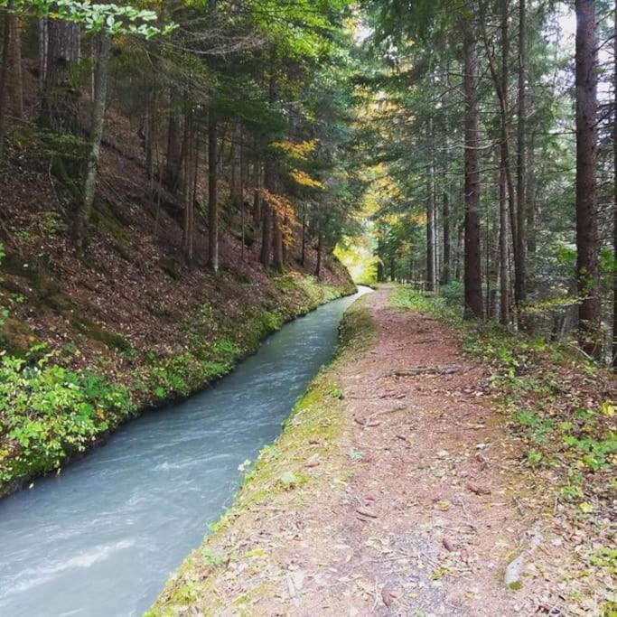 Chambre Ou Gite Dans Une Maison De Montagne - De Suzon A Zelie Entraigues  Zewnętrze zdjęcie