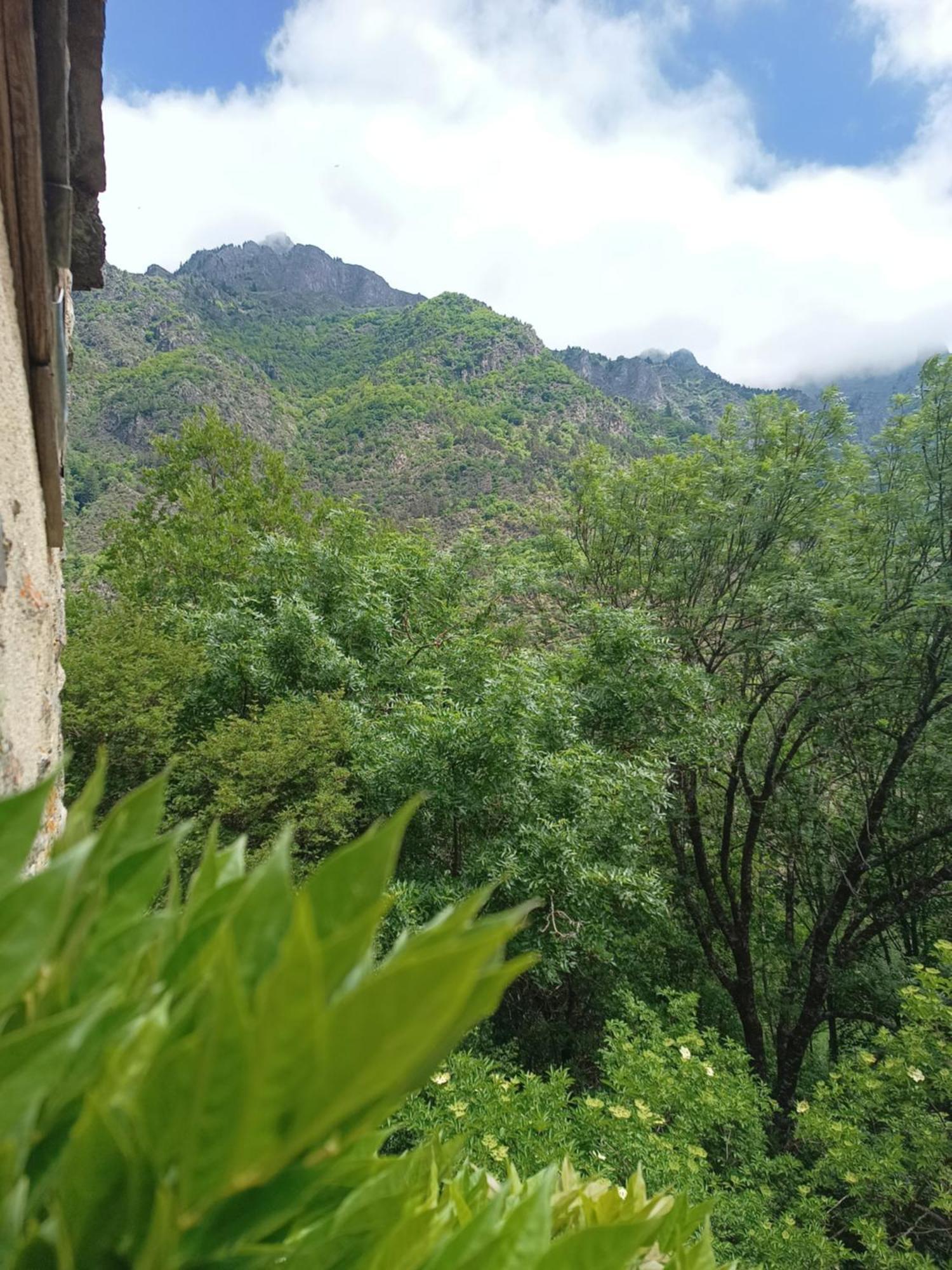 Chambre Ou Gite Dans Une Maison De Montagne - De Suzon A Zelie Entraigues  Pokój zdjęcie